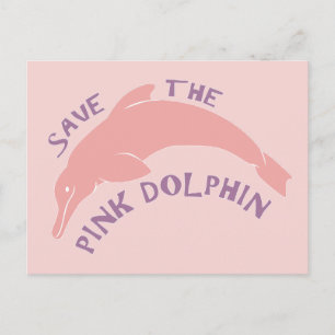Die rosa Dolphin gerettet Postkarte