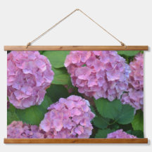 Die rosa Hortensia-Hydrangea-Blume