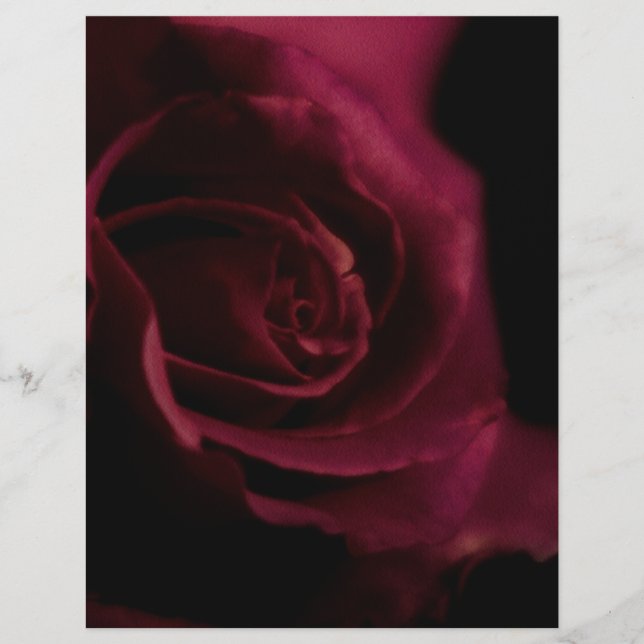 Die Rose 8.5 "x11" des geflochtenen Binder-Papiers Flyer (Vorne)