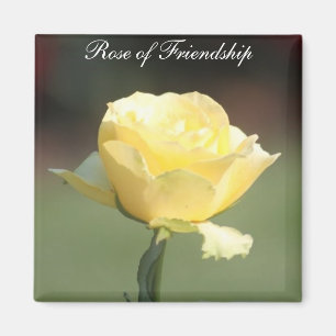 Die Rose der Freundschaft Magnet