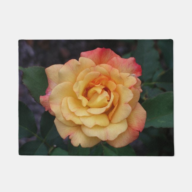 Die Rose ist schön rosa und gelb Fußmatte (Vorderseite)