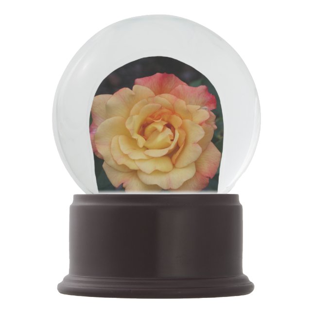 Die Rose ist schön rosa und gelb Schneekugel (Vorderseite)