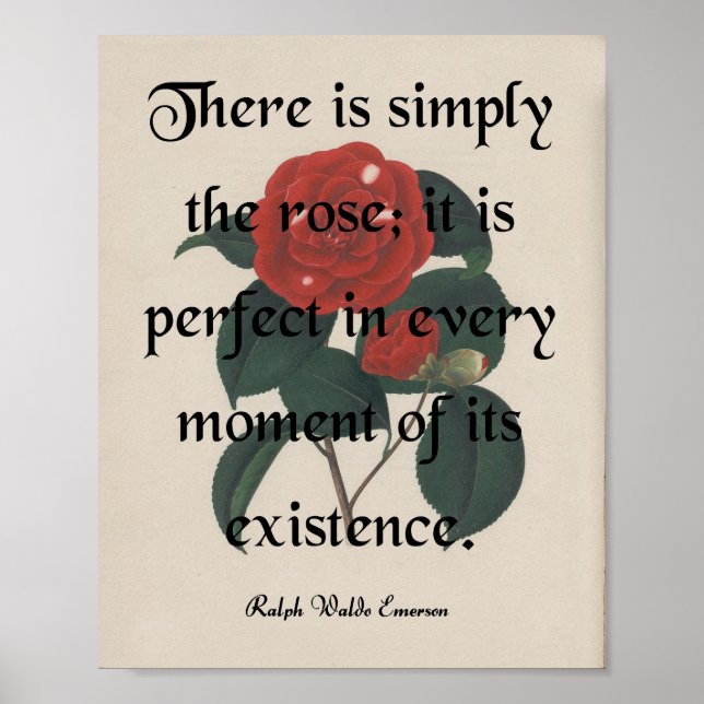 Die Rose Poster (Vorne)