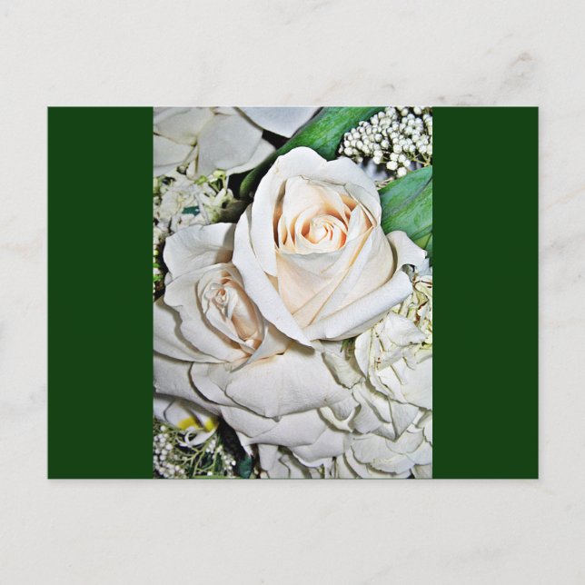 Die Rose_ Postkarte (Vorderseite)