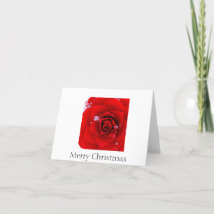 Die Rose von Sharon-Weihnachtennotecard Feiertagskarte