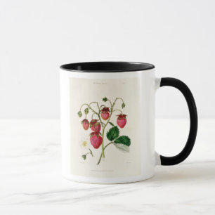 Die Roseberry Erdbeere, graviert durch Watte Tasse