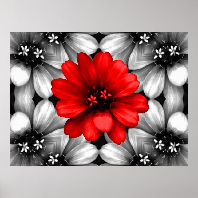 Die rote Blume ist anders Poster (Vorne)