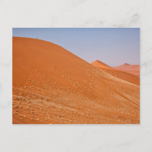 Die roten Dünen von Sossusvlei Postkarte