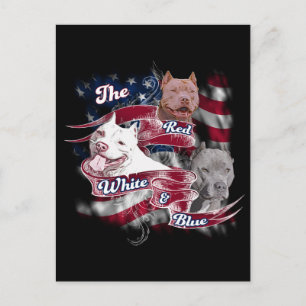 Die roten, weißen und blauen Hunde Postkarte