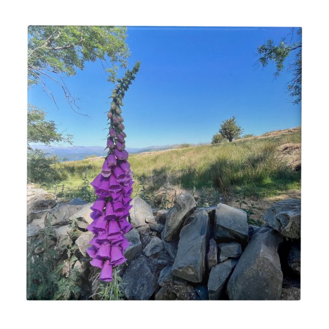 Die Ruhe des englischen ländlichen Raums Fliese (Vorderseite)