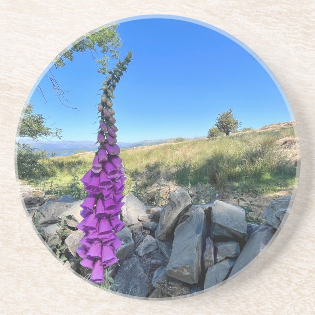 Die Ruhe des englischen ländlichen Raums Getränkeuntersetzer (Vorne)