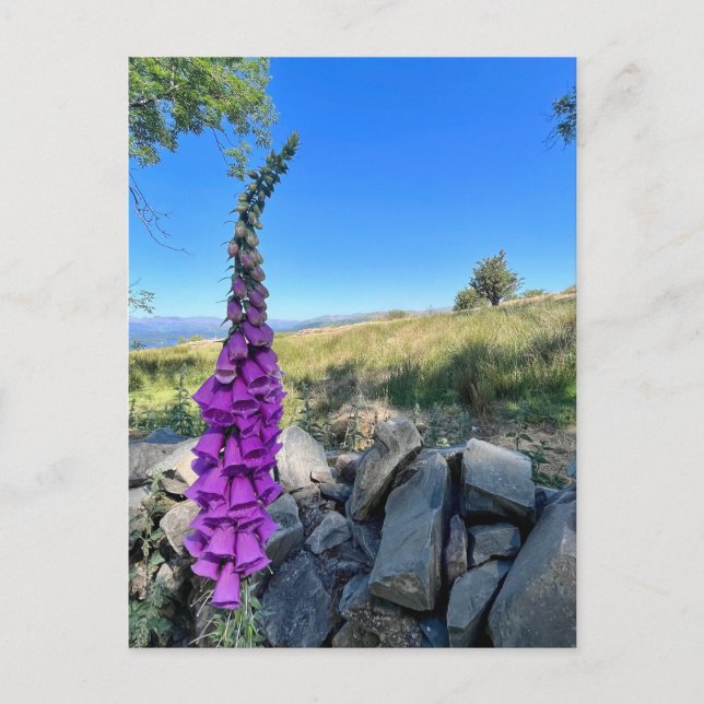 Die Ruhe des englischen ländlichen Raums Postkarte (Vorderseite)