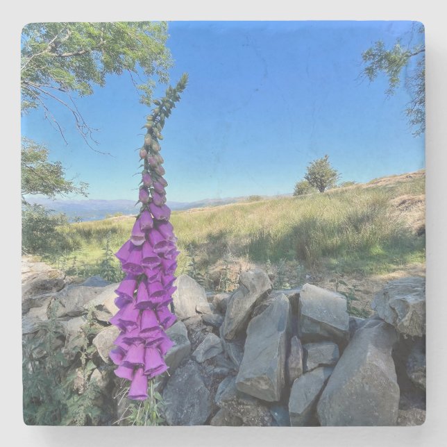 Die Ruhe des englischen ländlichen Raums Steinuntersetzer (Vorderseite)