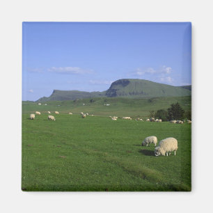 Die ruhigen Berge, die Insel Skye, die Highlands, Magnet