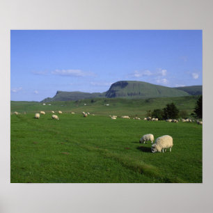 Die ruhigen Berge, die Insel Skye, die Highlands, Poster