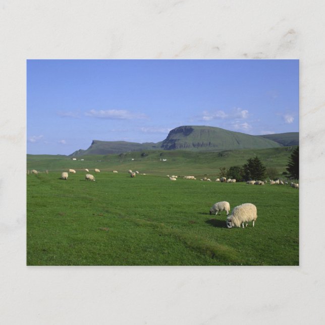 Die ruhigen Berge, die Insel Skye, die Highlands, Postkarte (Vorderseite)