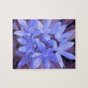 Die Ruhm des Schnee-Blau-Puzzles