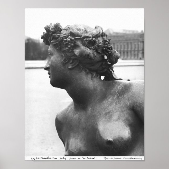 Die Saone vom Parterre Poster (Vorne)