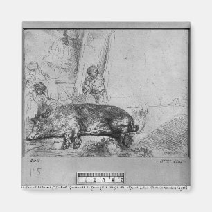 Die Saue, 1643 Magnet