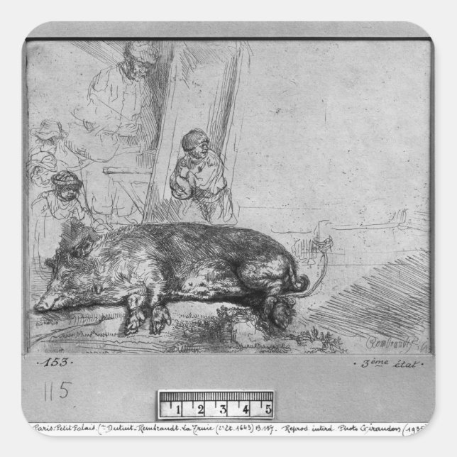 Die Saue, 1643 Quadratischer Aufkleber (Vorderseite)
