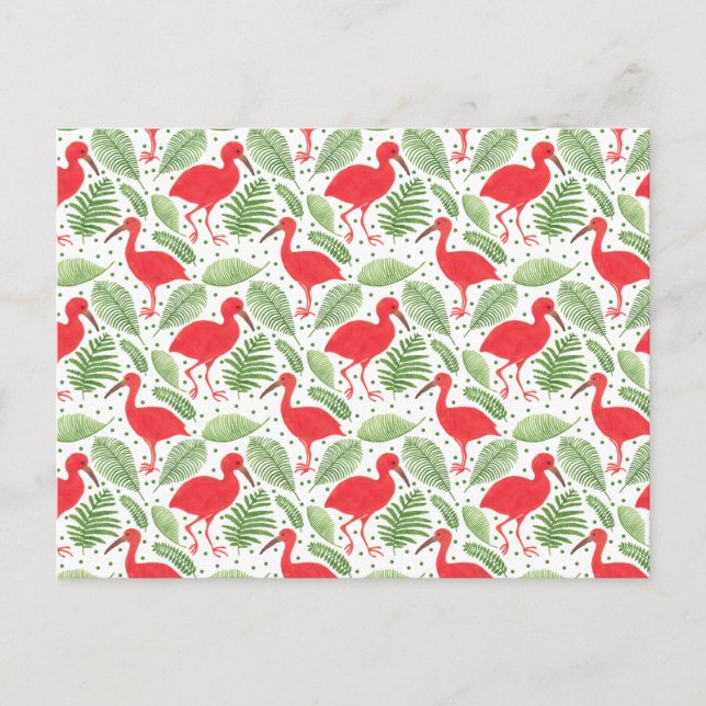Die Scarlet-Ibis Postkarte (Vorderseite)