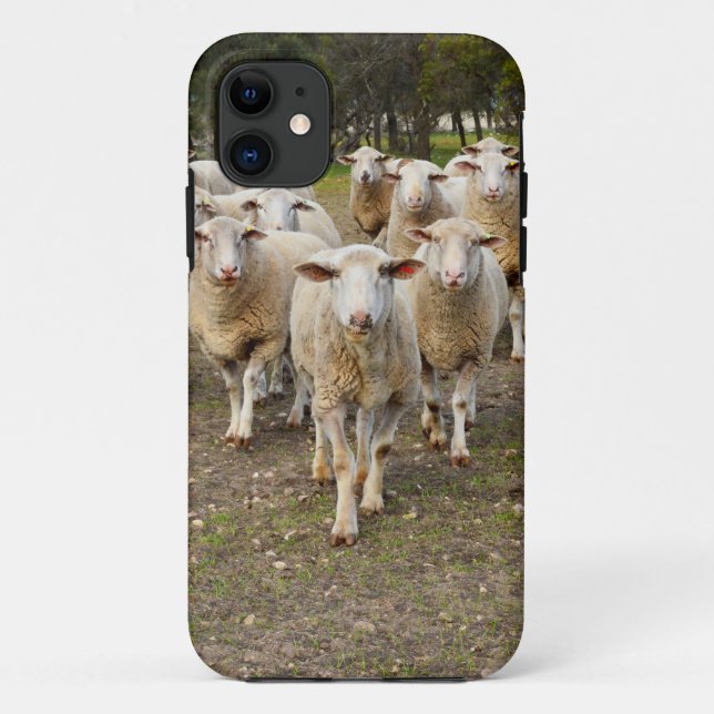 Die Schafe marschieren in Hurrah, Case-Mate iPhone Hülle (Rückseite)