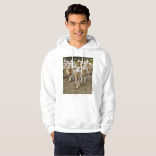 Die Schafe marschieren in Hurrah, Hoodie