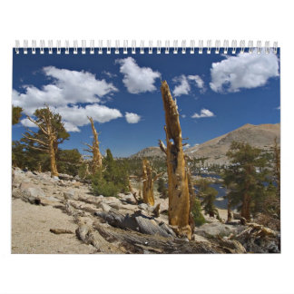 Die Schaffungs-Kalender des Gottes Kalender