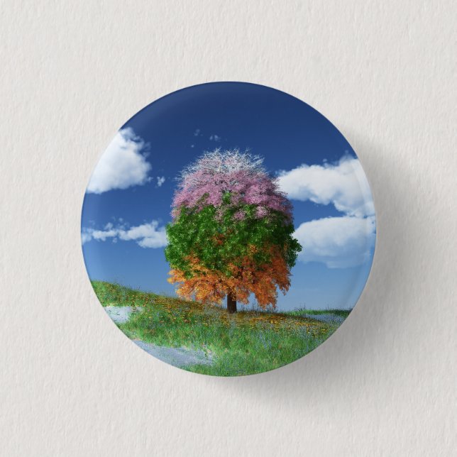 Die Schaltfläche "Saisonstruktur" Button (Vorderseite)