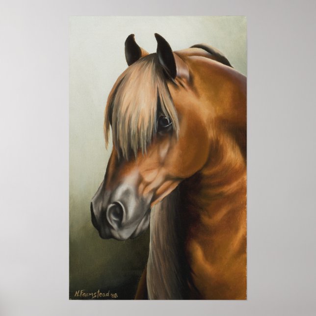 Die Schatten Poster (Vorne)