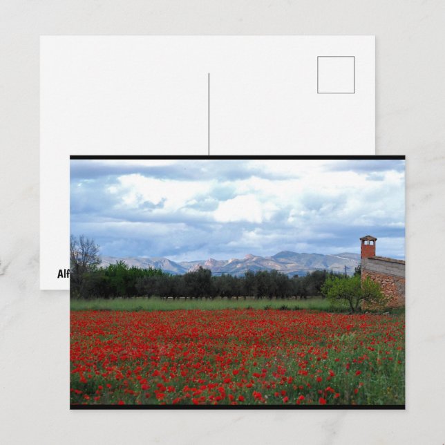 Die Scheune auf dem Mohnfeld Postkarte (Vorne/Hinten)