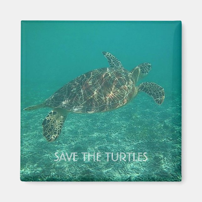 Die Schildkröten gerettet Magnet (Vorne)