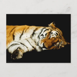 Die schlafende Amur-Postkarte Postkarte