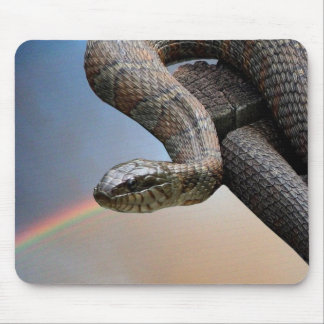 Die Schlange und der Regenbogen Mousepad