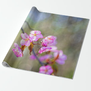 Die schlichte Schönheit der Blume von Sakura Geschenkpapier