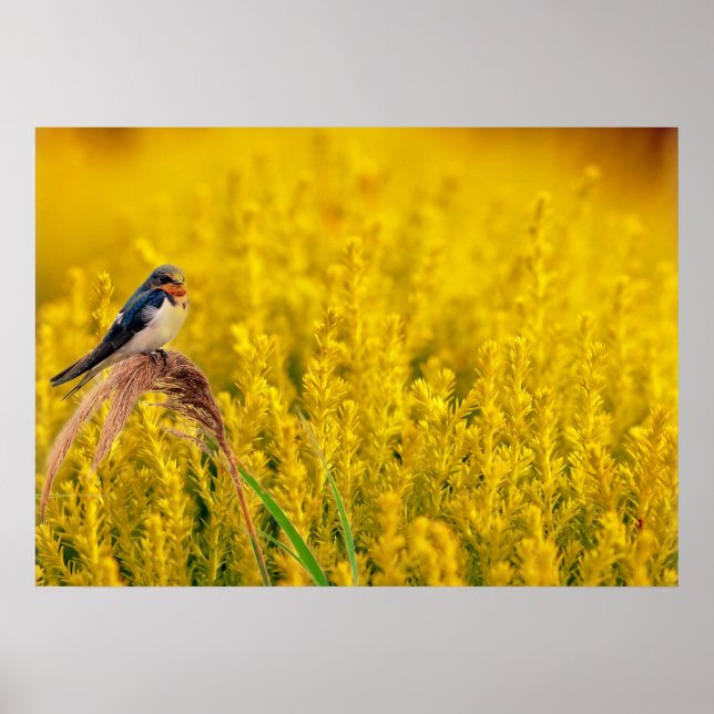 Die Schlucht Poster (Vorne)