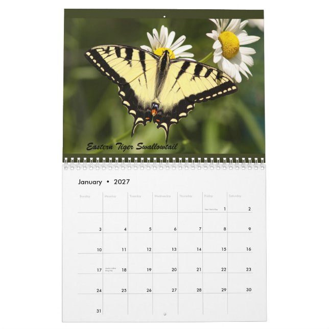 Die Schmetterlinge des Catskills Kalender (Jan 2027)