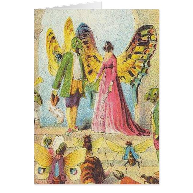 Die Schmetterlingskalle (Vorne)