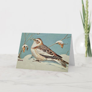 Die Schneeammer Feiertagskarte