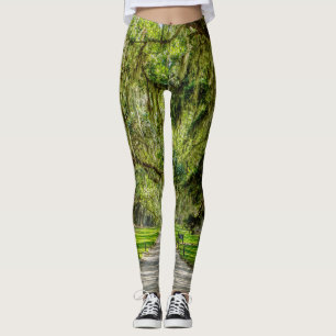 Die schöne Allee der Eichen Leggings