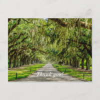 Die schöne Allee Oaks danke Ihnen Postcard