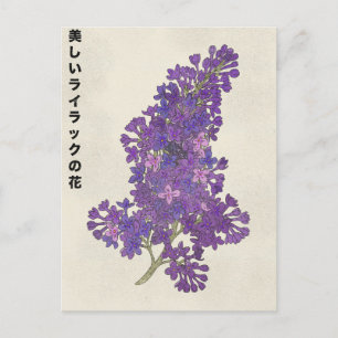 Die schöne Fliederblüte Postkarte