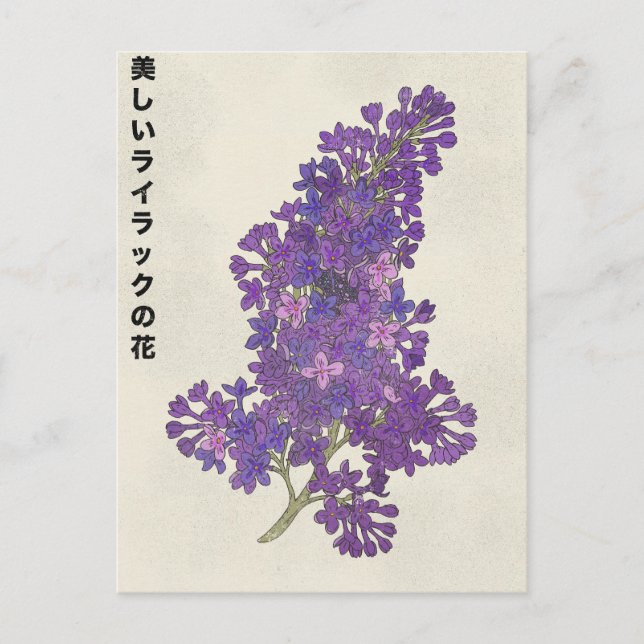 Die schöne Fliederblüte Postkarte (Vorderseite)