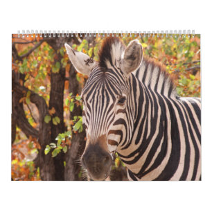 Die Schönheit Afrikas Kalender