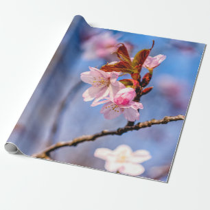 Die Schönheit der Blume von Sakura Geschenkpapier