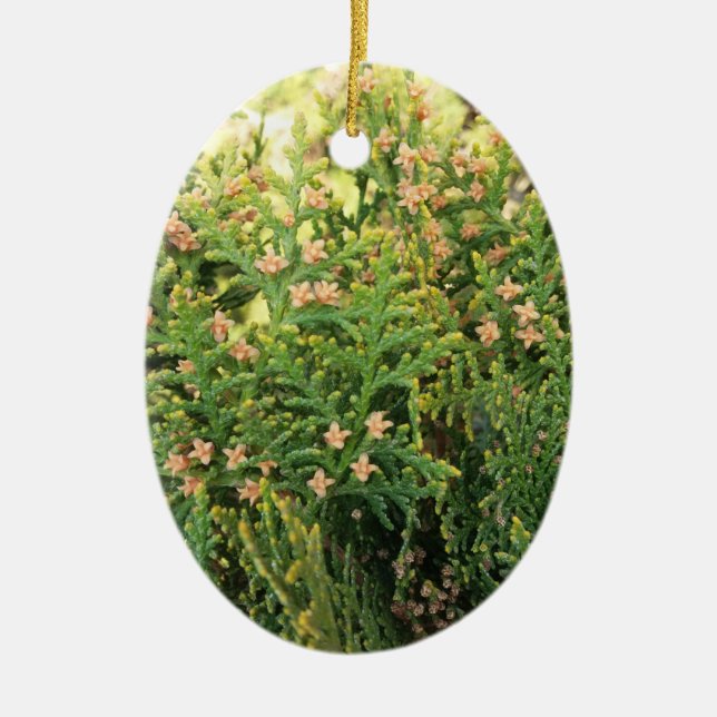 Die Schönheit der Natur: Juniper Tree Keramik Ornament (Vorne)