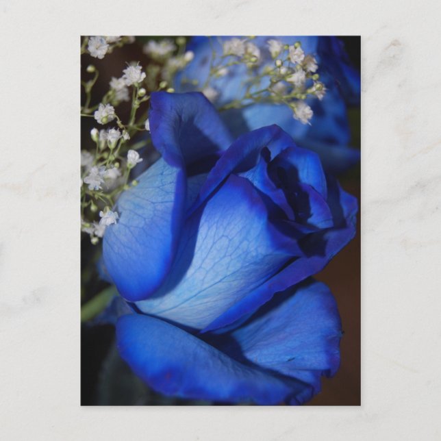 Die Schönheit des Blauen Postkarte (Vorderseite)