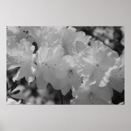 Die Schönheit des dritten Frühjahrs Poster