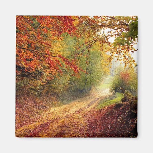 Die Schönheit des Herbstes Magnet (Vorne)