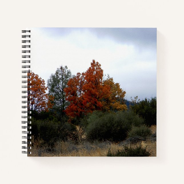 Die Schönheit des Herbstes... Notizbuch (Vorderseite)